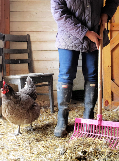 🧽 Easy Chicken Coop Maintenance: Tips for a Clean & Happy Flock