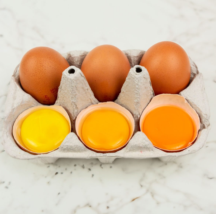 š„ Chicken Yolk Colors: What They Mean & Whatās Healthy