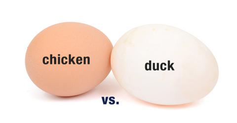 🥚 Duck Eggs vs. Chicken Eggs: What’s the Difference & Which Is Better?