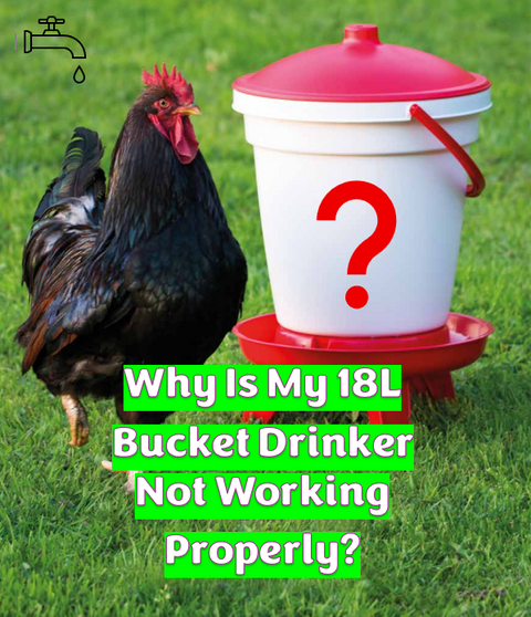 🪣🐓Drip, Drop, Stop! Solving 18L Bucket Drinker Problems!