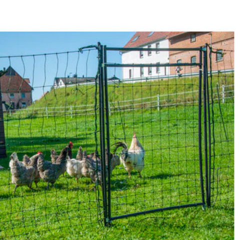 🐔 3 Reasons Poultry Fencing is a Game-Changer for Your Chickens