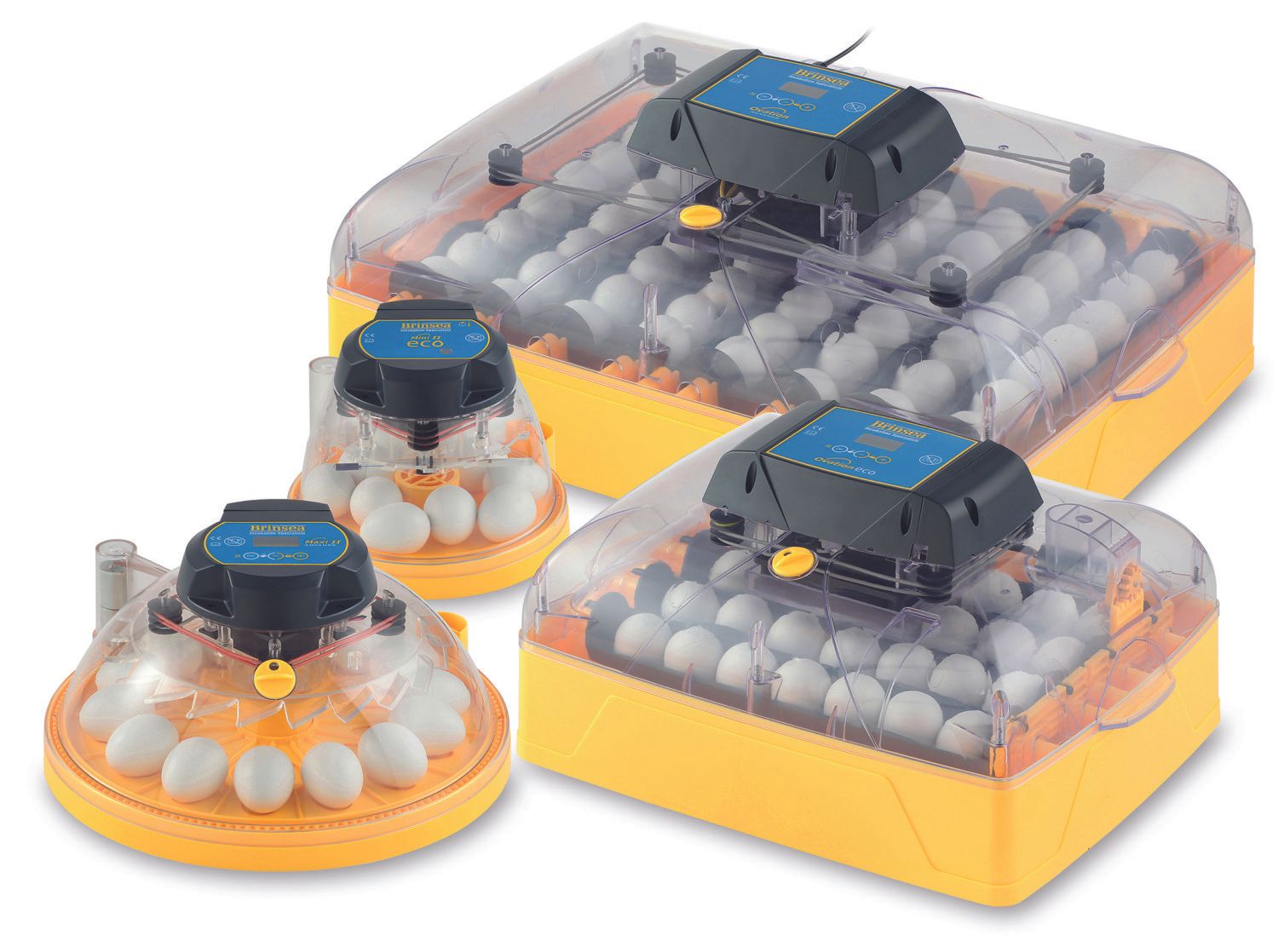 Poultry Incubators & Brooders Chook Manor Chook Manor Ltd