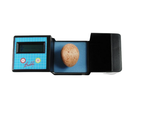 Buddy Egg Monitor