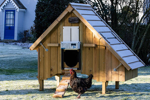ChickenGuard Pro  Coop Door Opener
