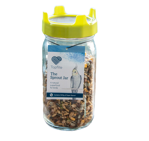Sprout Jar Kit