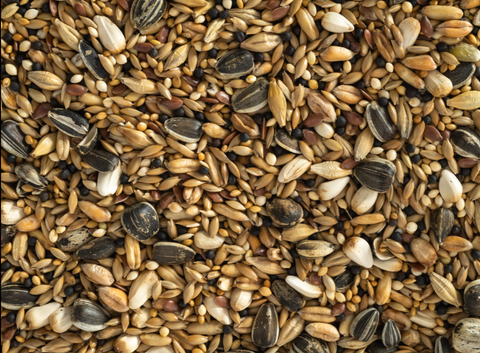 Avairy Seed Mix 10kg