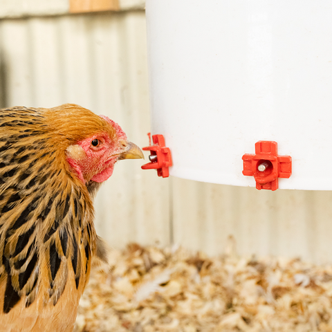 Chicken Nipple Drinker Horizontal Side Mount