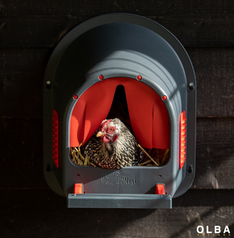 My Cozy Nest Box
