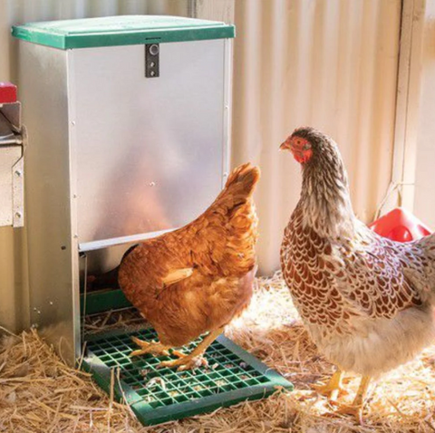 Feed-o-Matic Automatic Chicken Feeder 8kg