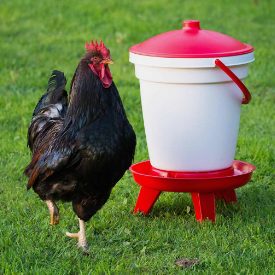 Feed-o-Matic 12kg Feeder + Bucket Drinker 18L with Legs Combo