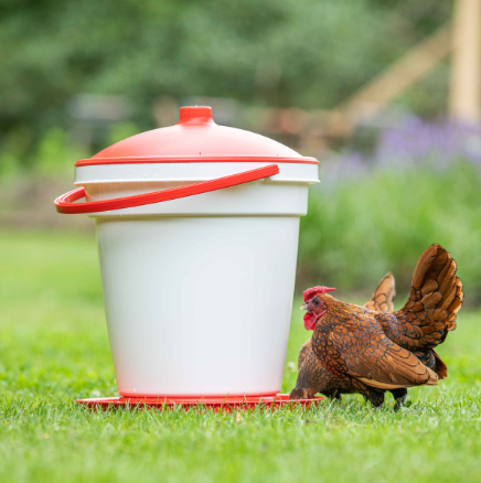 Feed-o-Matic 12kg Feeder + 18 L Bucket Drinker Combo