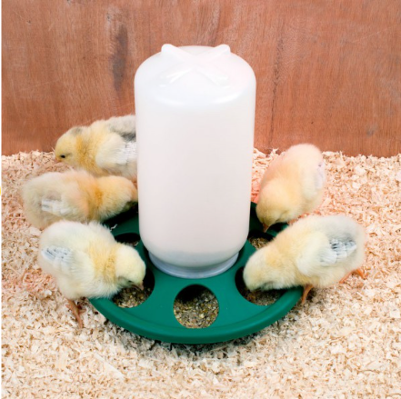Jar Feeder and Jar Drinker Chicks 1kg 7 hole Combo