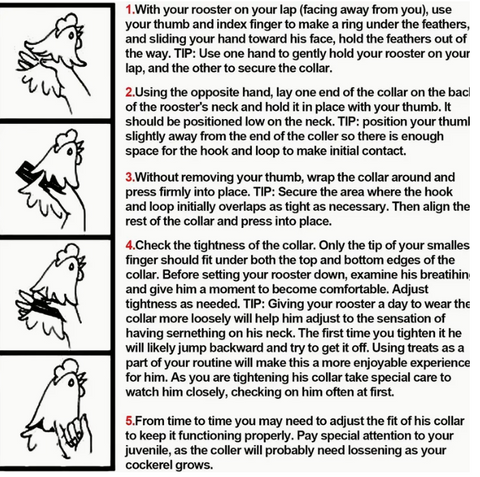 No Crow Rooster Collar (2 Pack green)