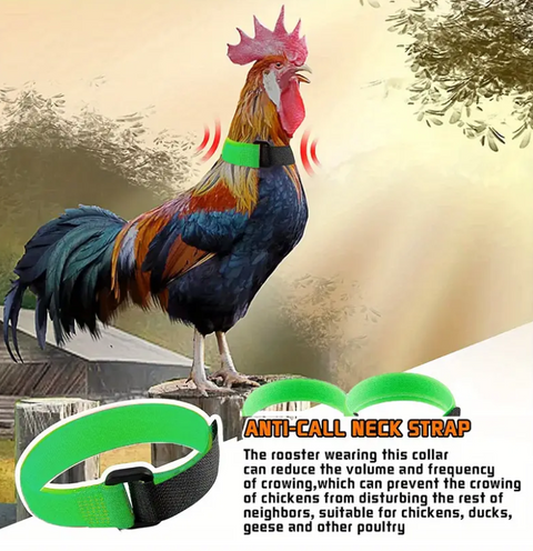 No Crow Rooster Collar (2 Pack green)