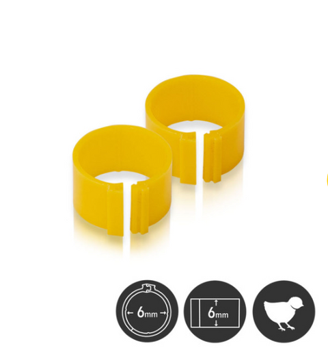 6mm Poultry Leg Rings 10 pack