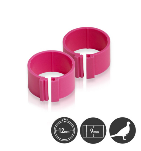 12mm Poultry Leg Rings 10 pack
