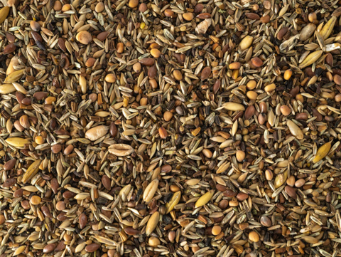 Topflite Wild Bird Seed Mix - Fine 20kg