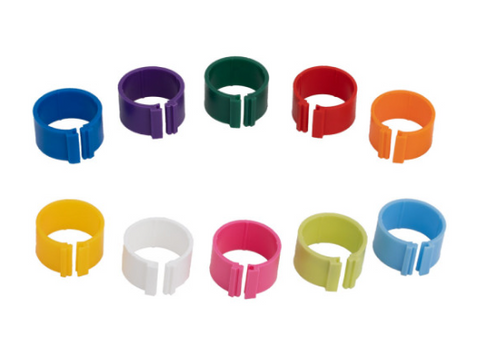 6mm Poultry Leg Rings 10 pack