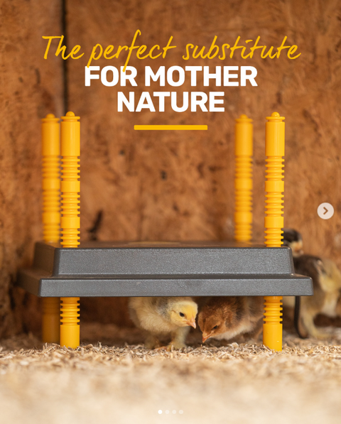 Comfort Chicks Heat Plate 40 x 40cm