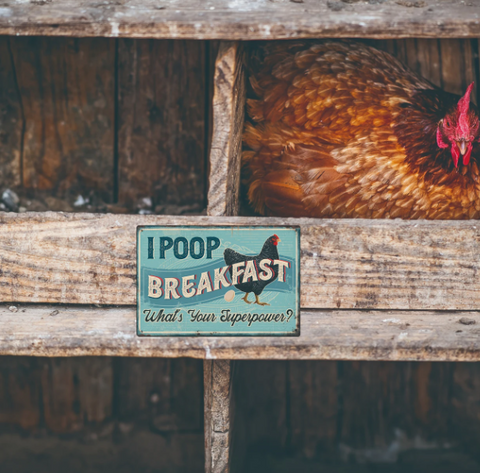I Poop Breakfast Metal Coop Sign