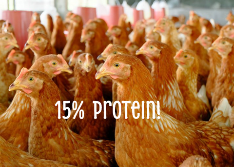 Chook Grow 10kg