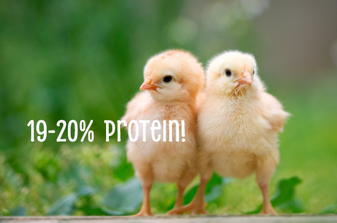 Chicks Choice starter Crumble 25kg
