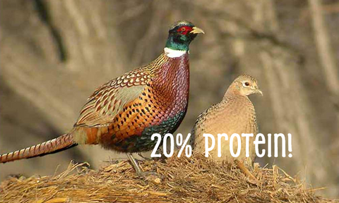 Game & Quail Crumble 25kg