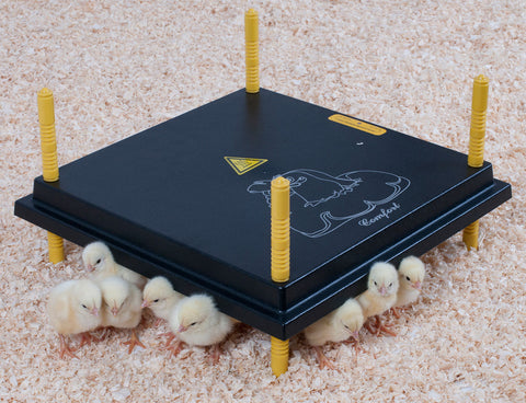 Comfort Chicks Heat Plate 40 x 40cm