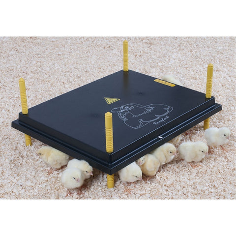 Comfort Chicks Heat Plate 50 x 40cm