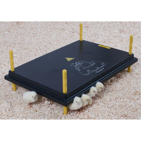 Comfort Chicks Heat Plate 60 x 40cm