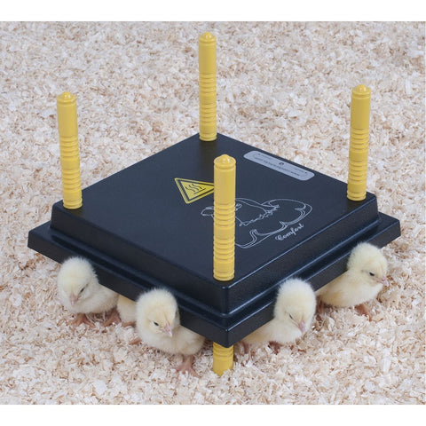 Comfort Chicks Heating Plates and Covers
