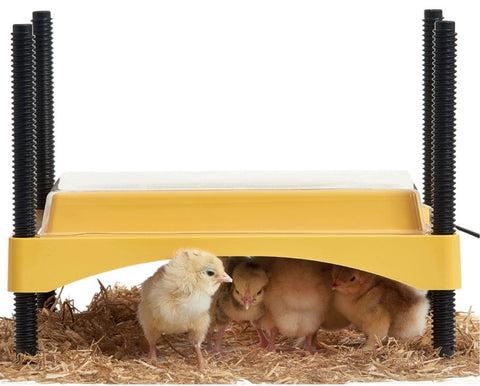 Brinsea EcoGlow Safety 600 Chick Brooder