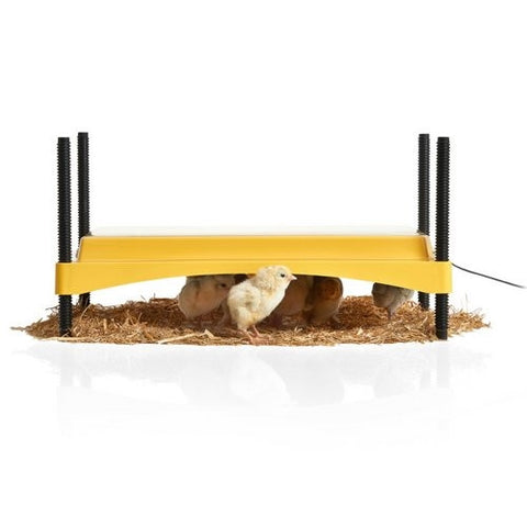 Brinsea EcoGlow Safety 1200 Chick Brooder