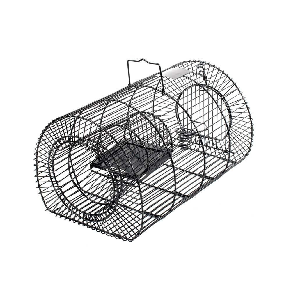 http://chookmanor.co.nz/cdn/shop/products/0002176_multi-catch-live-capture-rat-trap-medium.jpg?v=1639000404