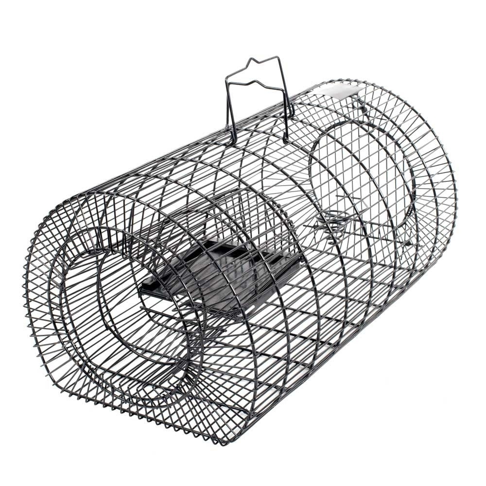 http://chookmanor.co.nz/cdn/shop/products/0002177_multi-catch-live-capture-rat-trap-large.jpg?v=1639000315