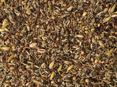 Topflite Wild Bird Seed Mix - Fine 1kg (Pick N Mix)