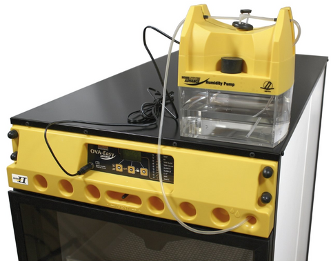 Brinsea OvaEasy 100 Advance Ex Series II Incubator with full humidity control
