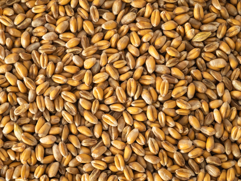Wheat 1kg (Pick N Mix)