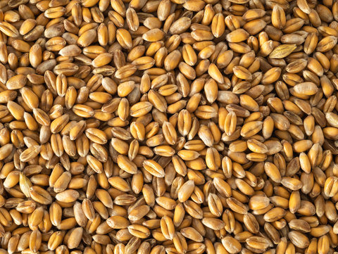 Topflite Wheat 1kg (Pick N Mix)