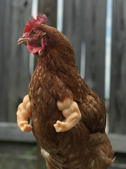 Chicken Arms Funny Muscles