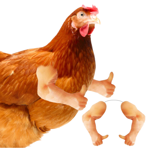Muscle Chicken Arms Gag Gifts Chicken Arm For Chicken To wear