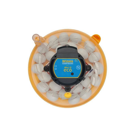 Brinsea Maxi II Eco Incubator