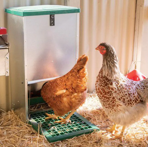 Feed-O-Matic Automatic Treadle feeders, What makes it the best Poultry feeder?