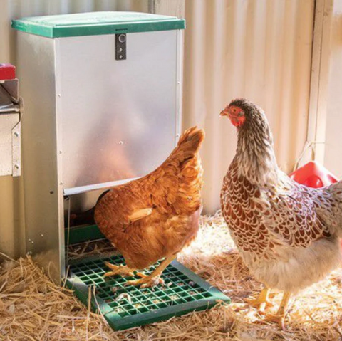 What Makes Feed-O-Matic Automatic Feeders The Best Poultry Feeders?