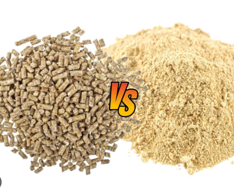 🐔Layer Mash vs Layer Pellets: Which Is Best for Your Chickens?