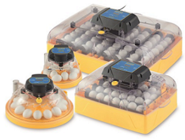 🐣 Why Brinsea Incubators Are the Best Choice for Hatching Eggs