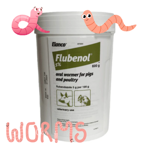 🐔 Flubenol Wormer! How to Worm Your Chickens Without the Stress