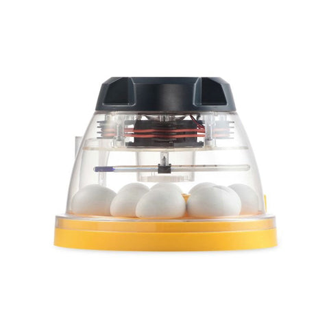 Getting Your Brinsea Incubator Ready for Spring – Beginner Friendly Guide