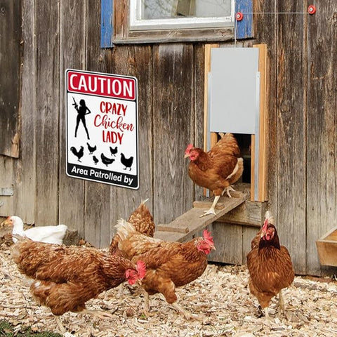 "Caution Crazy Chicken lady" Metal Coop Sign