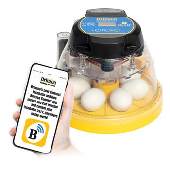 Brinsea NEW Mini II EX Connect App Controlled Incubator